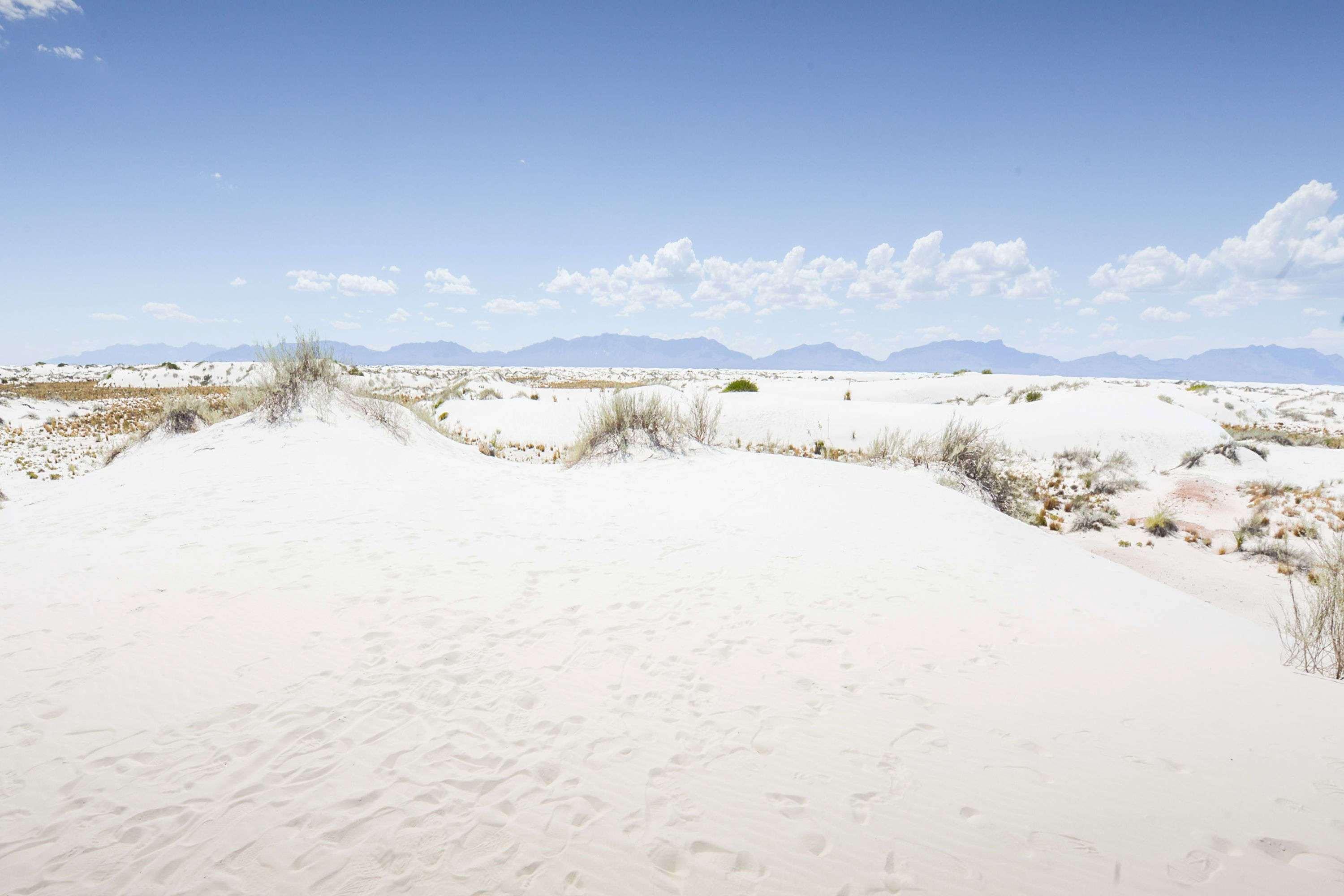 Days Inn By Wyndham Alamogordo White Sands Eksteriør billede